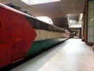 أول قطار أروبي يسير مغطا بألوان العلم الفلسطينى (صورة)