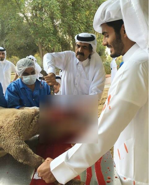 صورة أمير قطر السابق وهو يذبح الخروف تثير سخرية نشطاء الانترنت