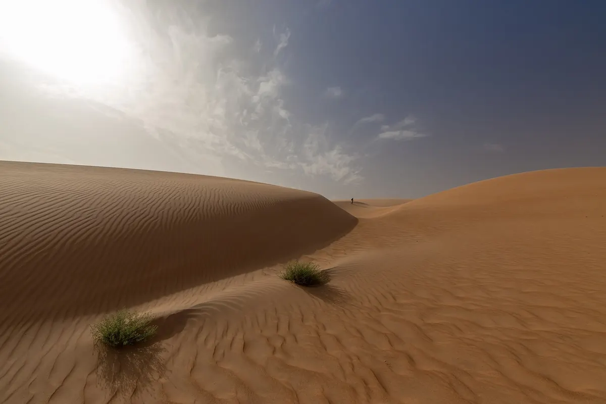 كثبان رملية في الصحراء الموريتانية
