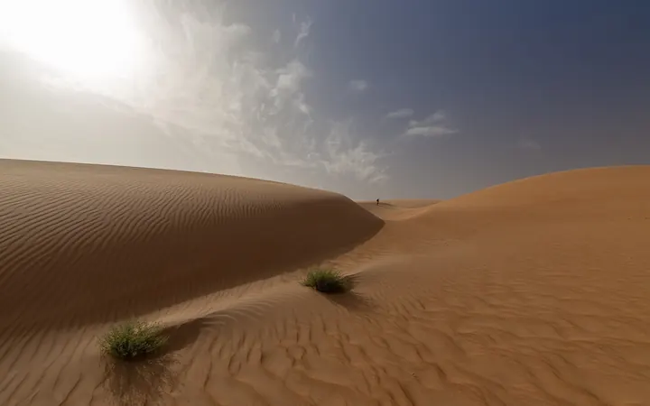 كثبان رملية في الصحراء الموريتانية