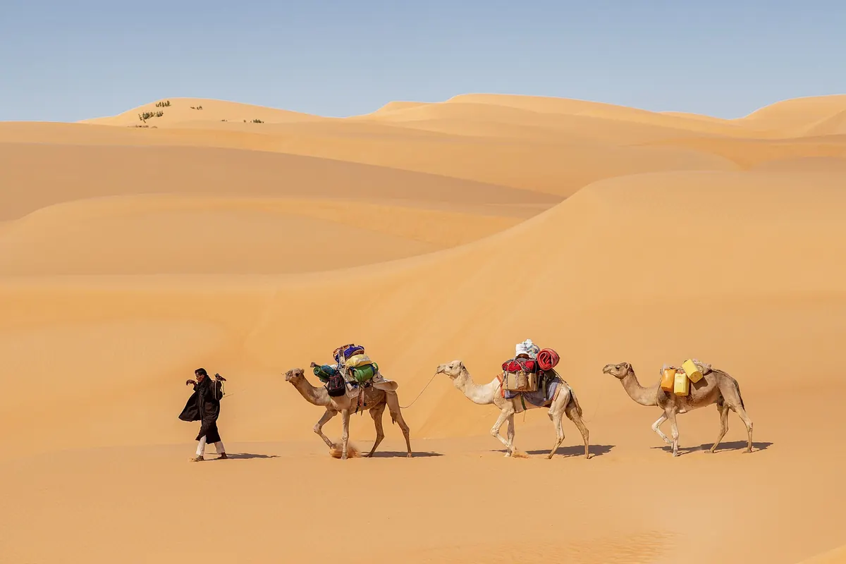 قافلة جمال في عرق أمطليش