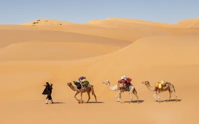 قافلة جمال في عرق أمطليش