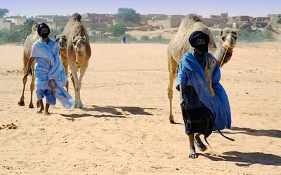 رجال مع جمالهم في شنقيط