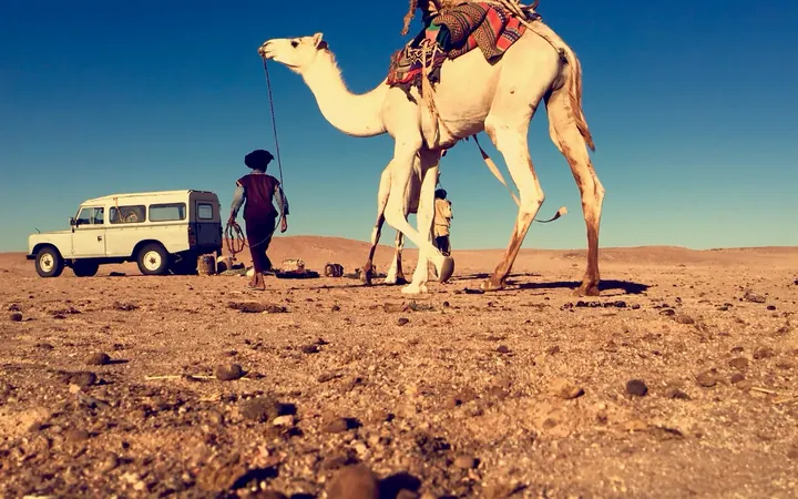راعٍ صغير مع جمل قرب سيارة في منطقة الزمور شمال بئر أم اكرين