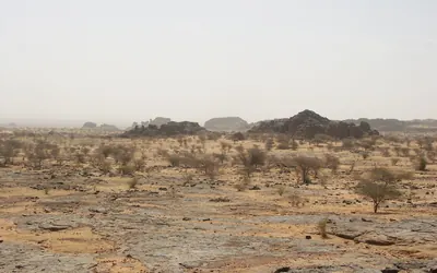 أرض صخرية وشجيرات قرب لعيون العتروس